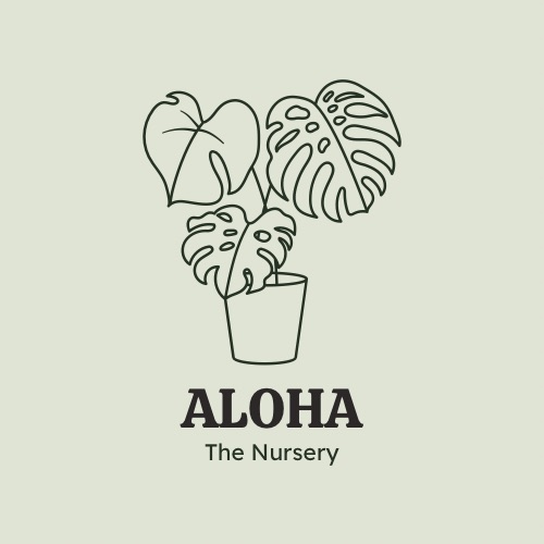 Aloha the Nursery