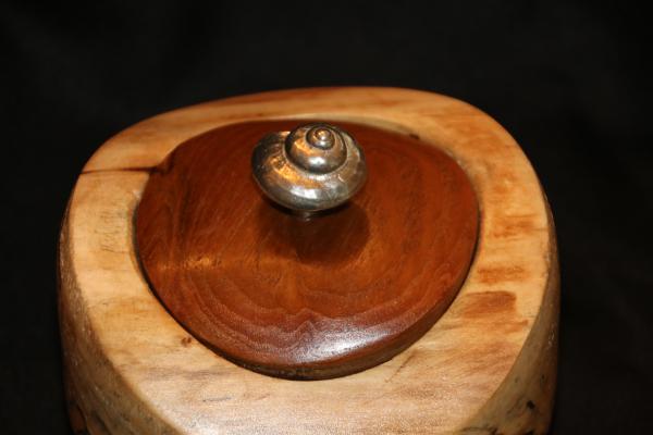 Spalted Birch and Teak Hollow Form picture