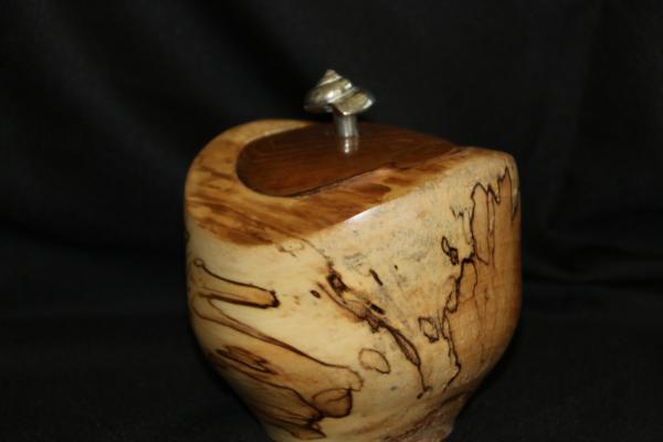 Spalted Birch and Teak Hollow Form