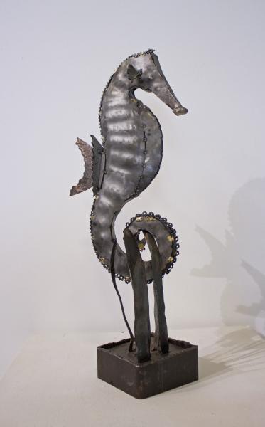 Seahorse picture