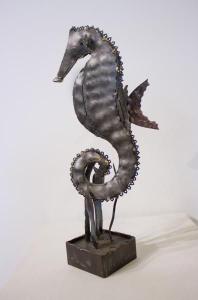 Seahorse picture