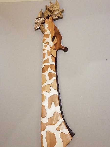 Giraffe picture