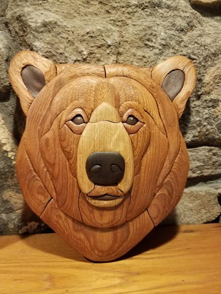 Bear head picture