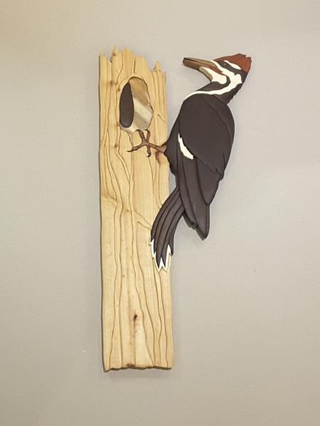 Life size Woodpecker picture