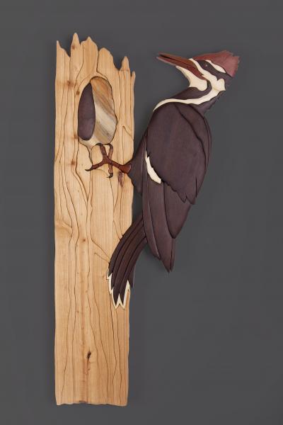 Life size Woodpecker picture