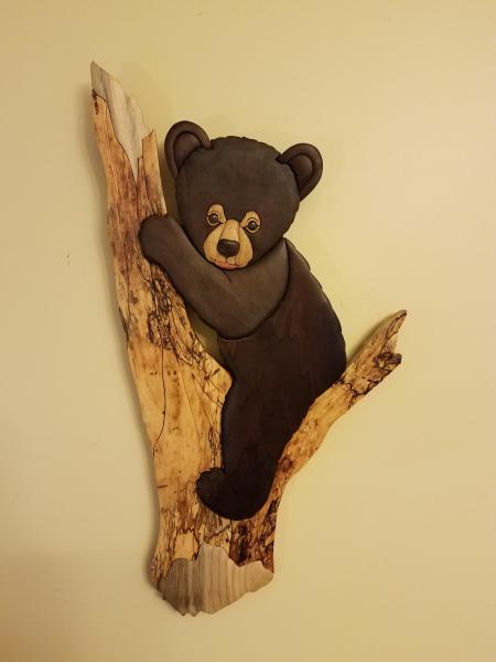 Bear cub up a tree picture