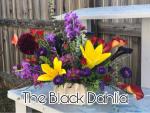 The Black Dahlia Floral