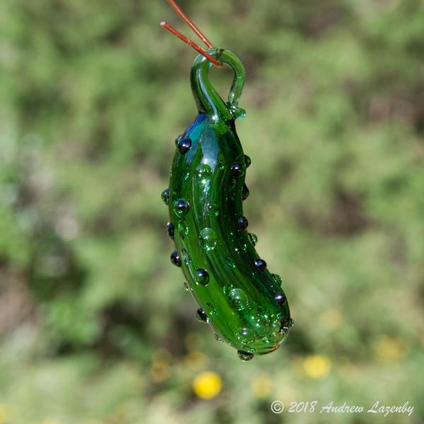 Christmas Pickle!
