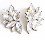 Crystal Burst Earrings