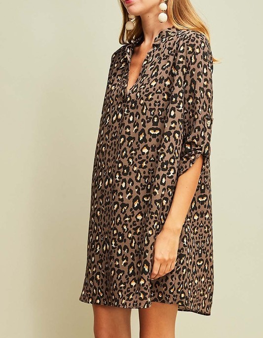 Animal Print Dress picture