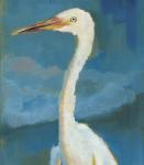 White Egret