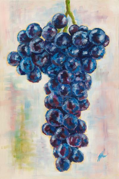 Large Purple Grapes picture