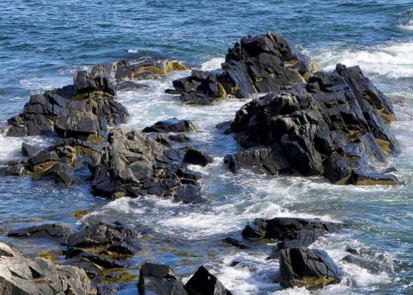 Rocky Coastline