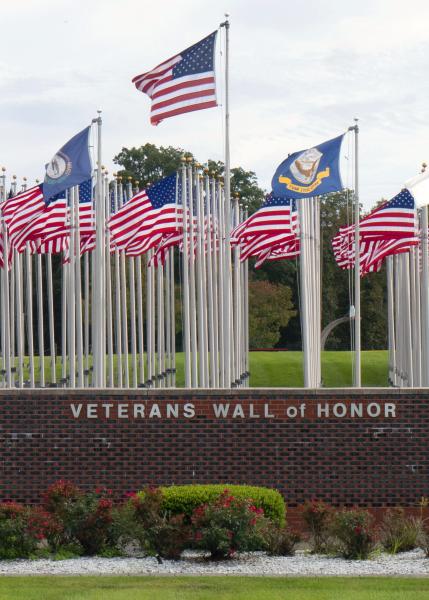 The American Legion Healing Wall picture