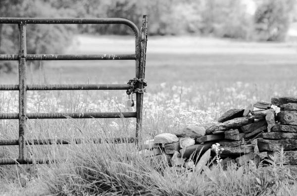 Rock and Rust Color Print picture