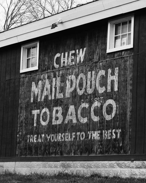 Chew Mail Pouch Sign, Color Print picture