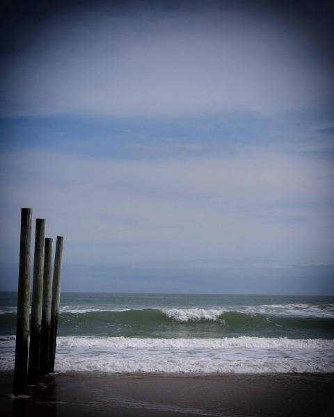 Atlantic Ocean and Old Pier Supports picture