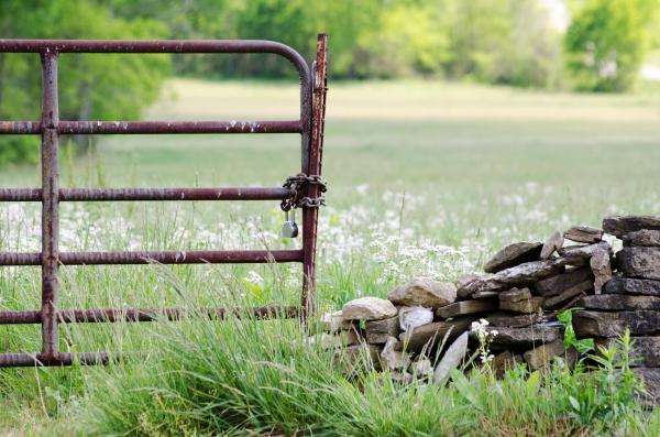 Rock and Rust Color Print picture