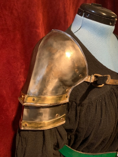 Paladin  Series Shoulder Pauldron - Single picture