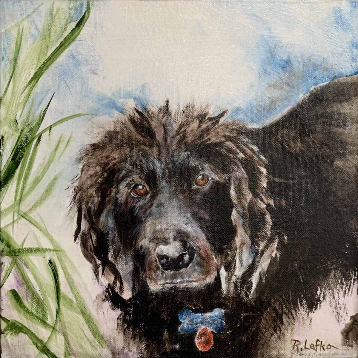 Pet Portraits picture