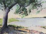 Along the Marsh