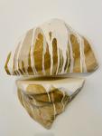 Vanessa Calvert untitled (double mountain)