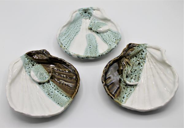 Sea Shell Soap dish picture