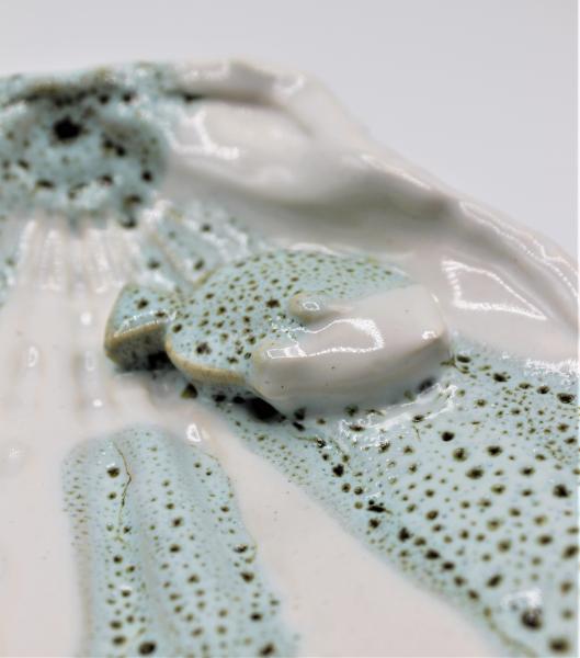 Sea Shell Soap dish picture