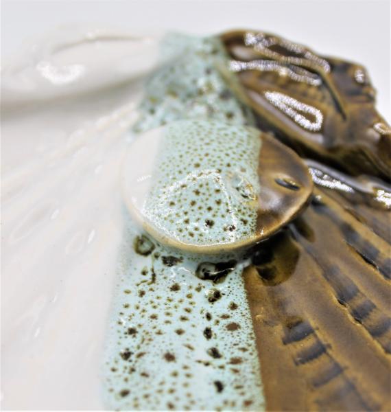 Sea Shell Soap dish picture