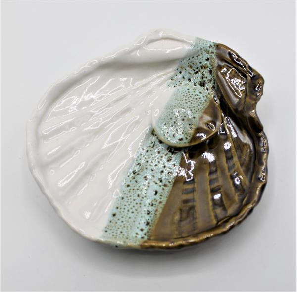 Sea Shell Soap dish