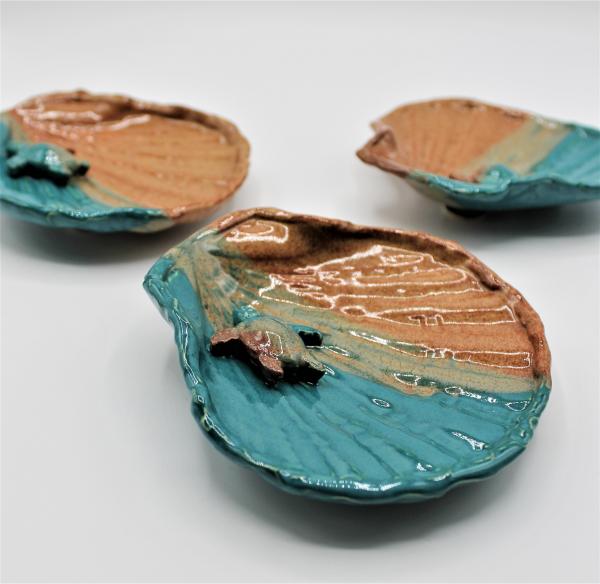 Sea Shell Soap dish picture