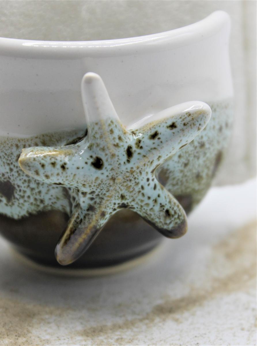 Sponge holder with star fish picture