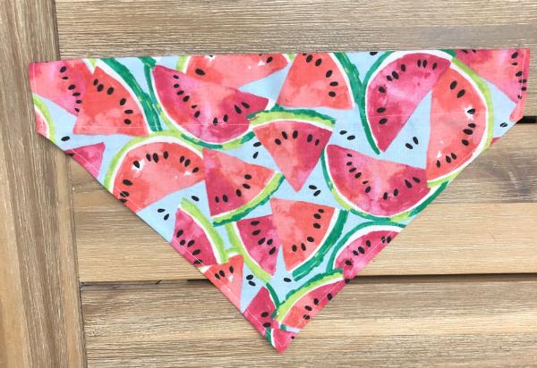 DOG BANDANA: Watermelon picture