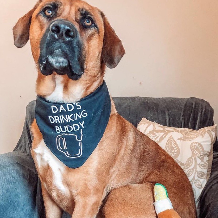 Dad's Drinking Buddy Bandana picture