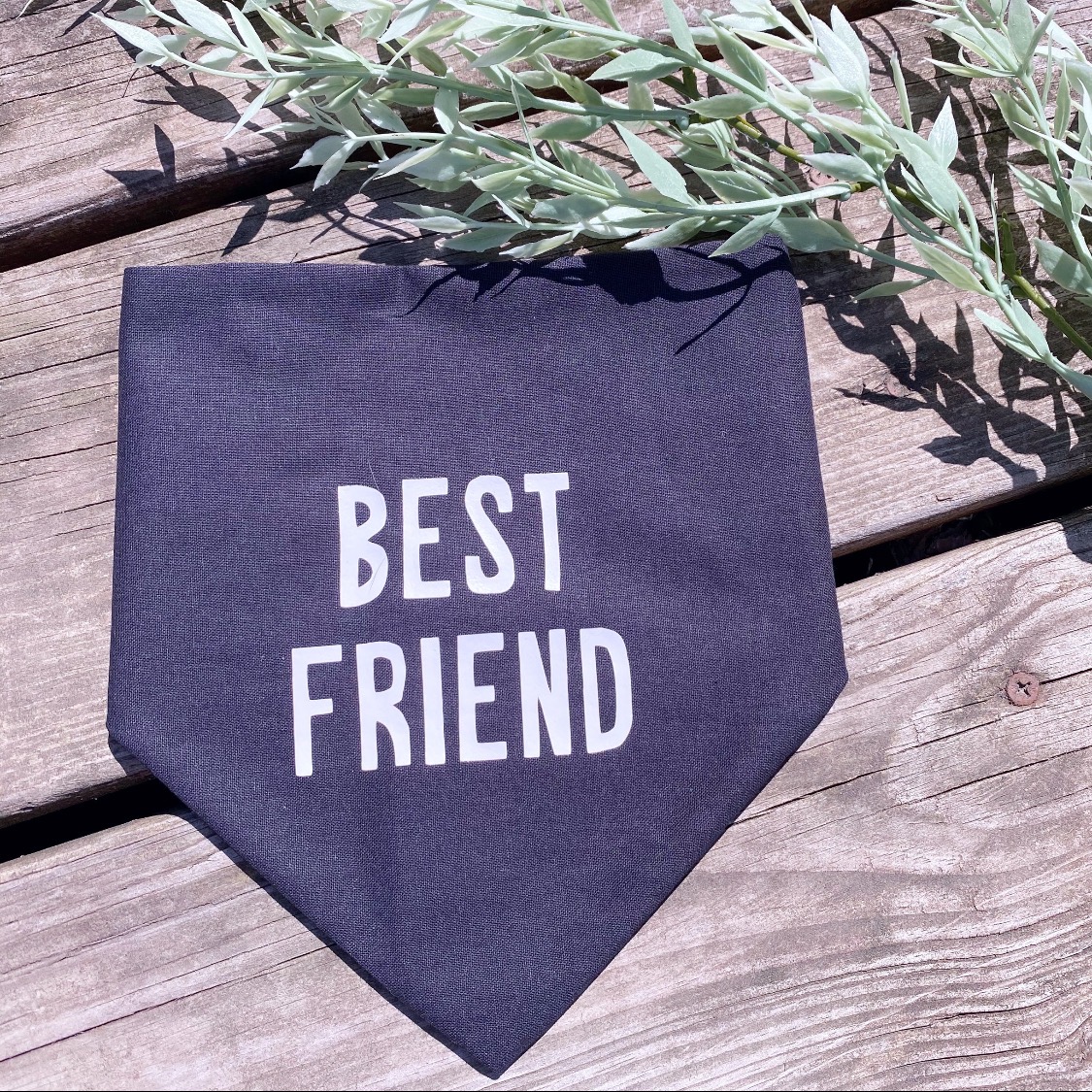 Best Friends Bandana & T-shirt picture