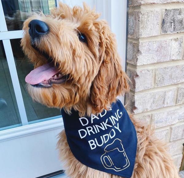 Dad's Drinking Buddy Bandana picture