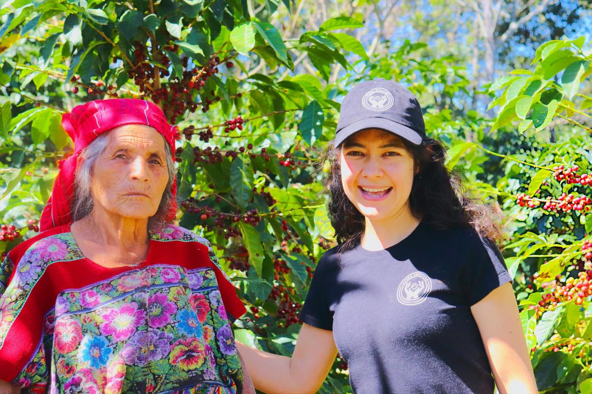 ETHOS SAMPLER picture