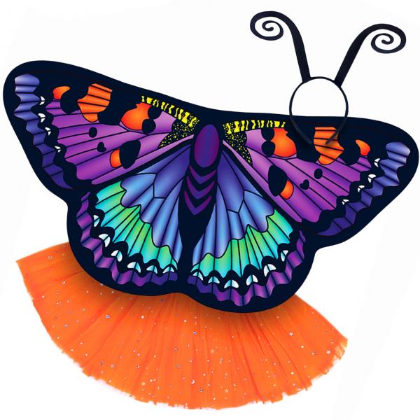 Butterfly Wings Girls Dance Outfit Kids Costume Wing Cape and Tutu picture