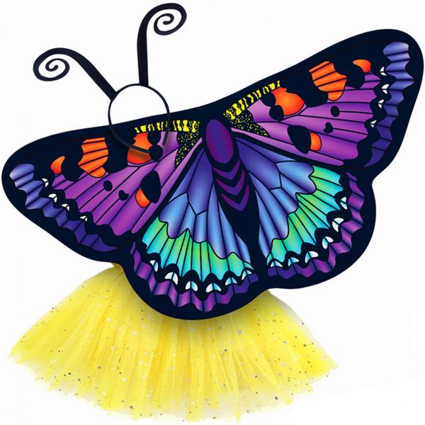 Butterfly Wings Girls Dance Outfit Kids Costume Wing Cape and Tutu picture