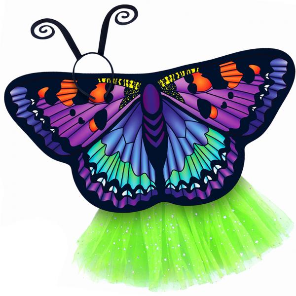 Butterfly Wings Girls Dance Outfit Kids Costume Wing Cape and Tutu picture