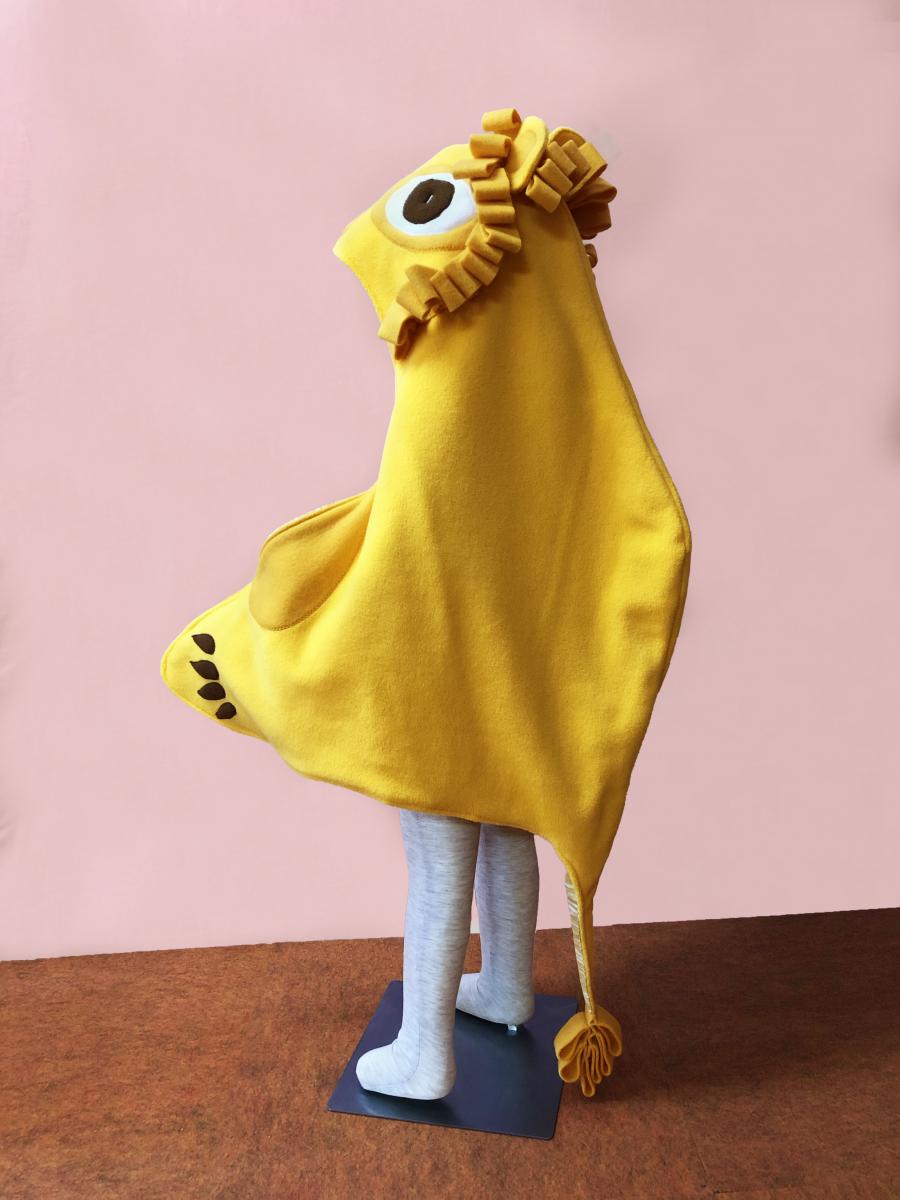 Lion Costume picture