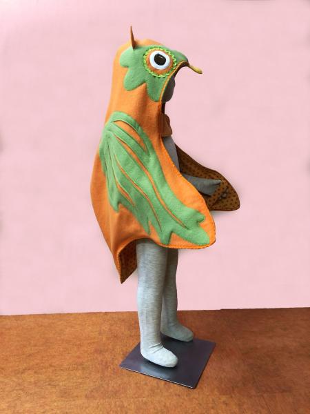 Orange Bird Costume picture