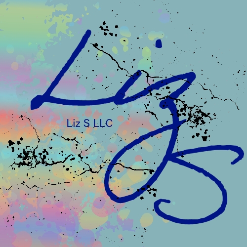 Liz S. LLC