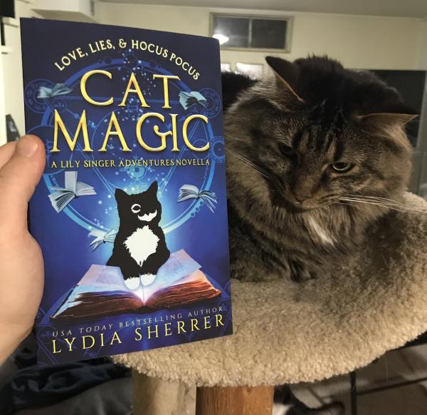 Signed Paperback Book - Love, Lies, and Hocus Pocus: Cat Magic (A Lily Singer Adventures Novella) picture