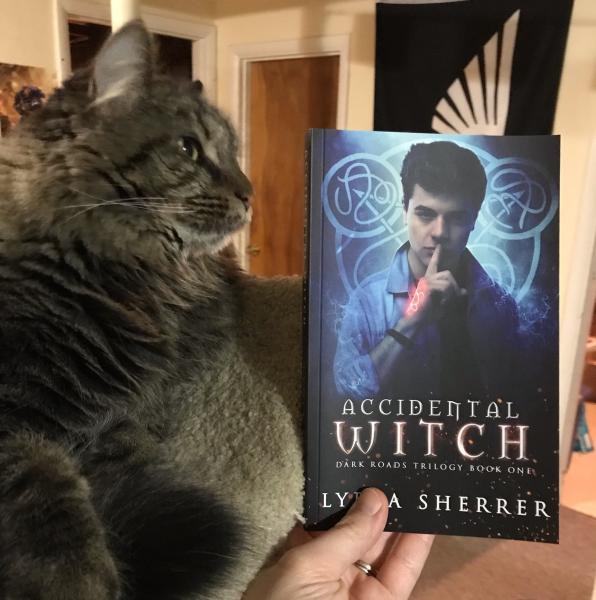 Signed Paperback Book - Accidental Witch (Book 1 Dark Roads Trilogy) picture
