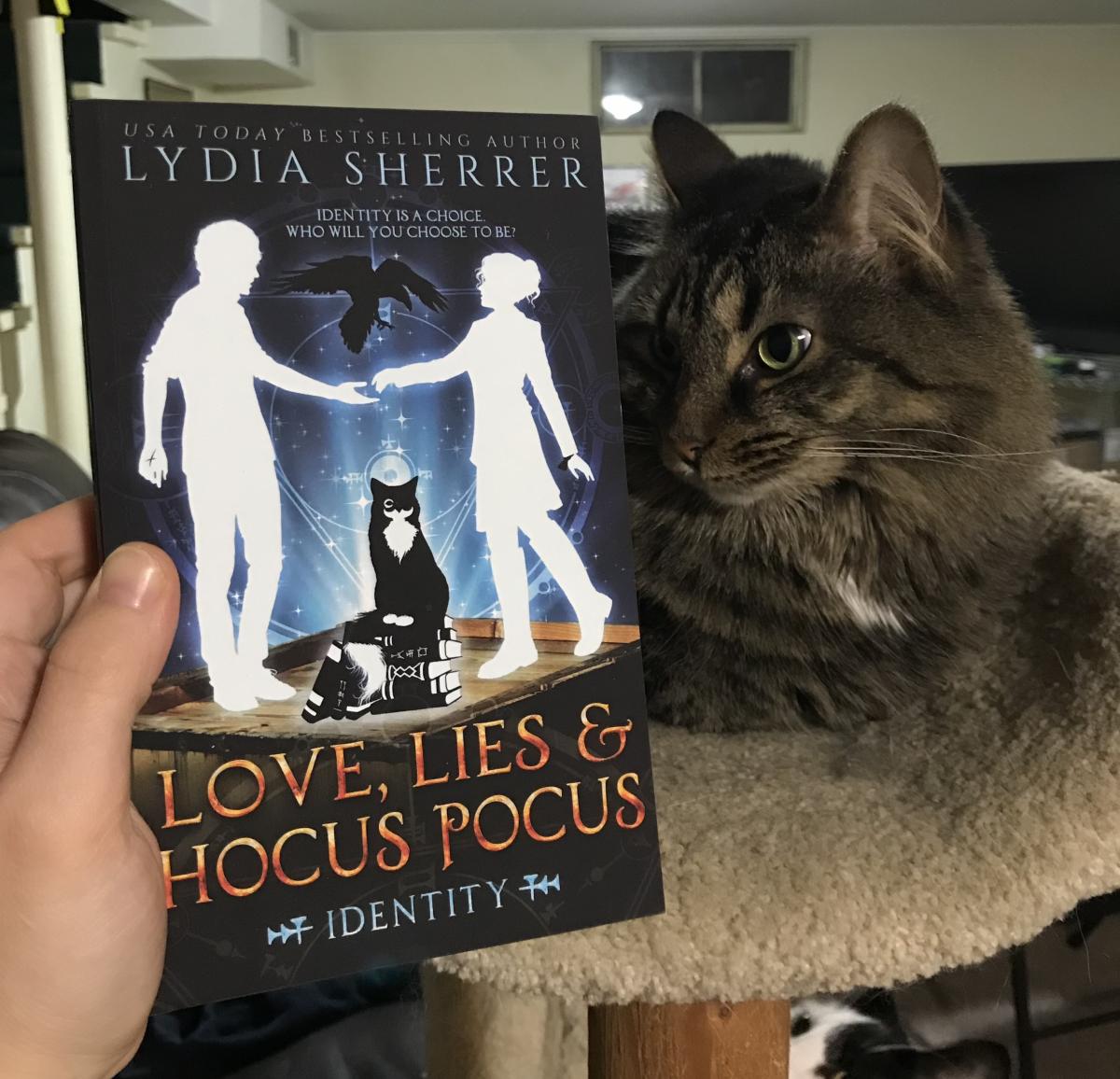 Signed Paperback Book - Love, Lies, and Hocus Pocus: Identity (Book 6 The Lily Singer Adventures) picture