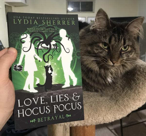 Signed Paperback Book - Love, Lies, and Hocus Pocus: Betrayal (Book 5 The Lily Singer Adventures) picture