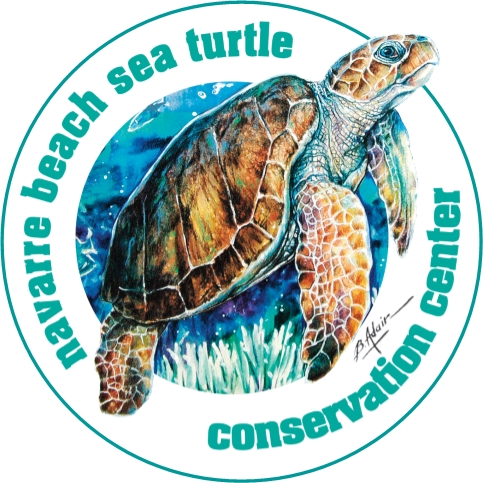 Navarre Beach Sea Turtle Conservation Center