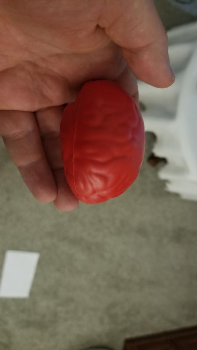 Brain Stress Ball picture
