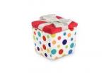 Gift Box Dog Toy